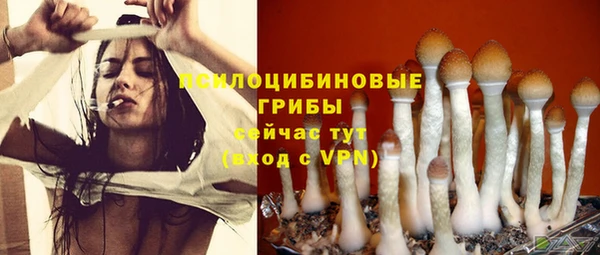 каннабис Верея