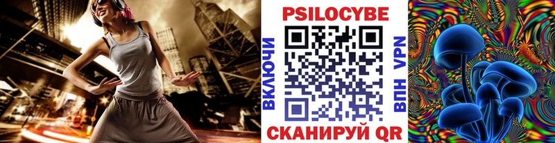 Купить Красновишерск Псилоцибиновые грибы Psilocybine cubensis